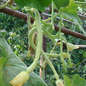  Appartamento I Girasoli Italia